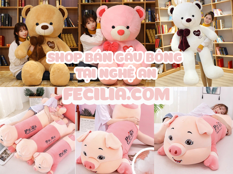 Shop bán Gấu Bông ở Nghệ An giá rẻ