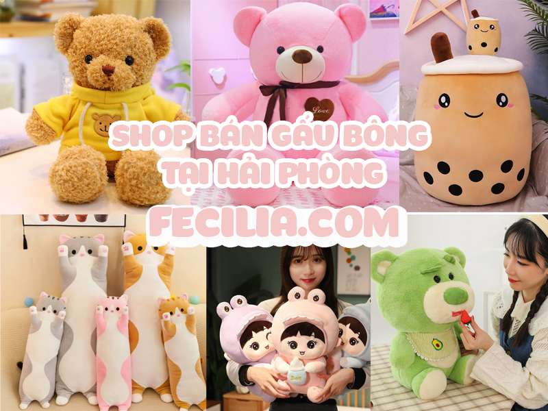 Shop bán Gấu bông tại Hải Phòng giá rẻ