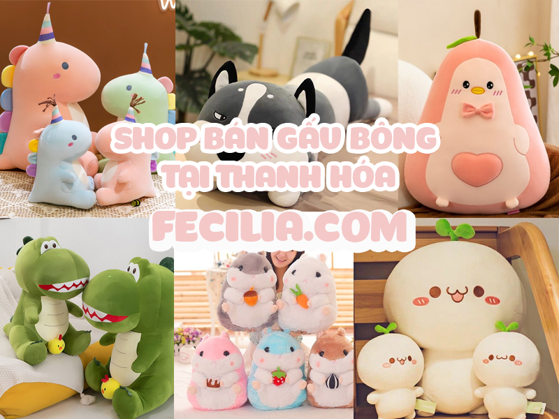 Shop bán Gấu bông tại Thanh Hóa giá rẻ