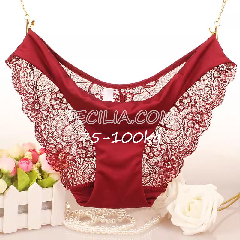 Quần lót nữ Bigsize Ren Sexy thoáng khí