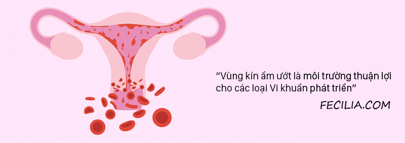 Viêm nhiễm phụ khoa