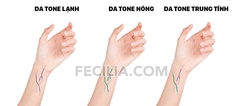 Xác định Tone da
