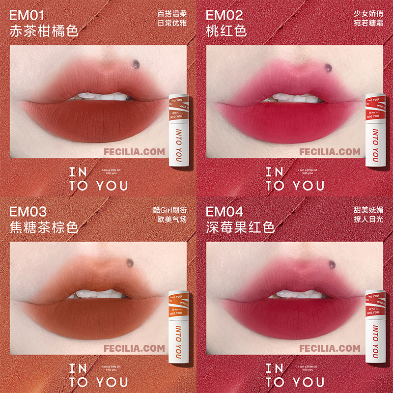 Son INTO YOU Foggy Lip And Cheek