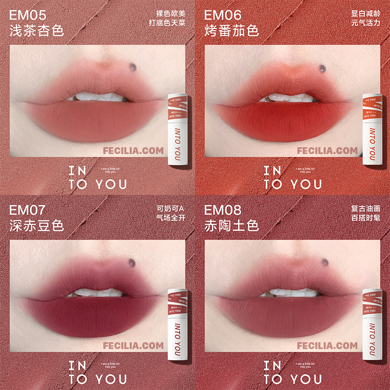 Son INTO YOU Foggy Lip And Cheek