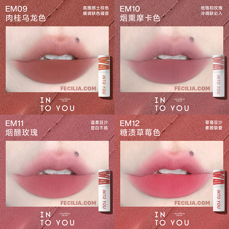 Son INTO YOU Foggy Lip And Cheek