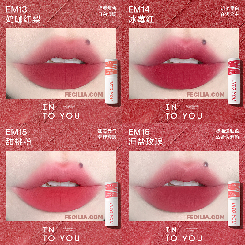 Son INTO YOU Foggy Lip And Cheek