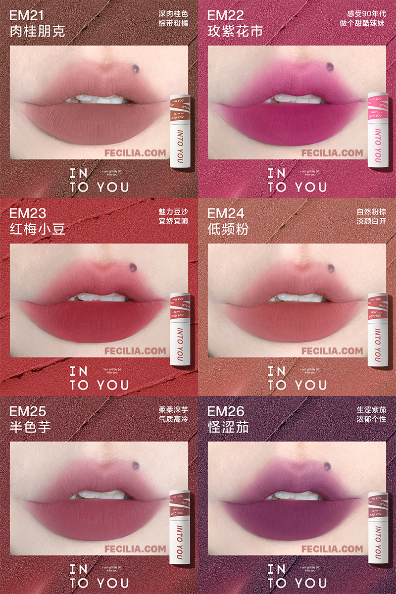Son INTO YOU Foggy Lip And Cheek