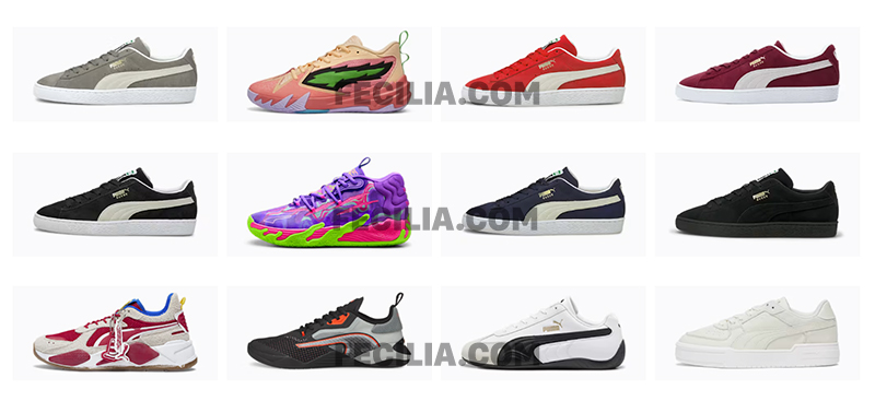 Các mẫu giày Puma