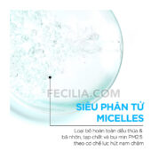 Nước Tẩy Trang làm sạch da Garnier Micellar Cleansing Water Salicylic BHA 400ml |NTT012