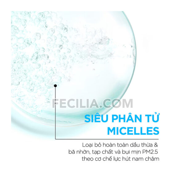 Nước Tẩy Trang làm sạch da Garnier Micellar Cleansing Water Salicylic BHA 400ml |NTT012