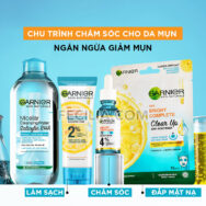 Nước Tẩy Trang làm sạch da Garnier Micellar Cleansing Water Salicylic BHA 400ml |NTT012