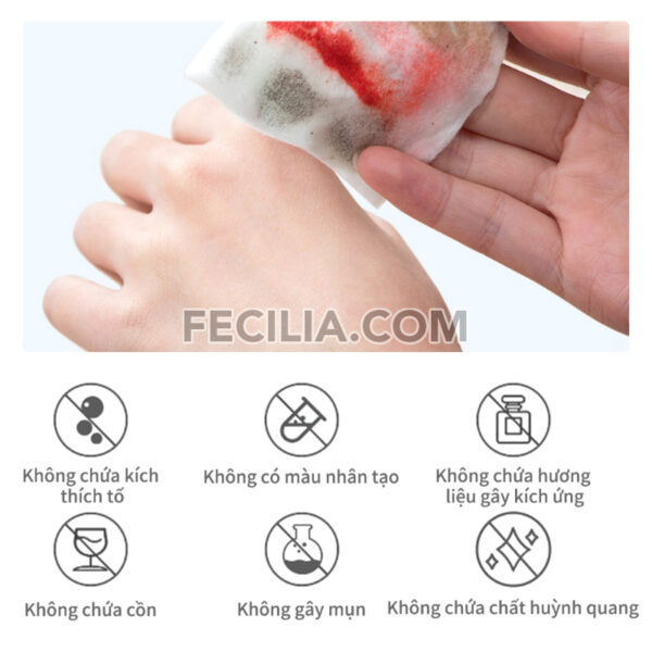 Nước Tẩy trang AISASEA 220ml kết hợp nước và dầu |NTT059