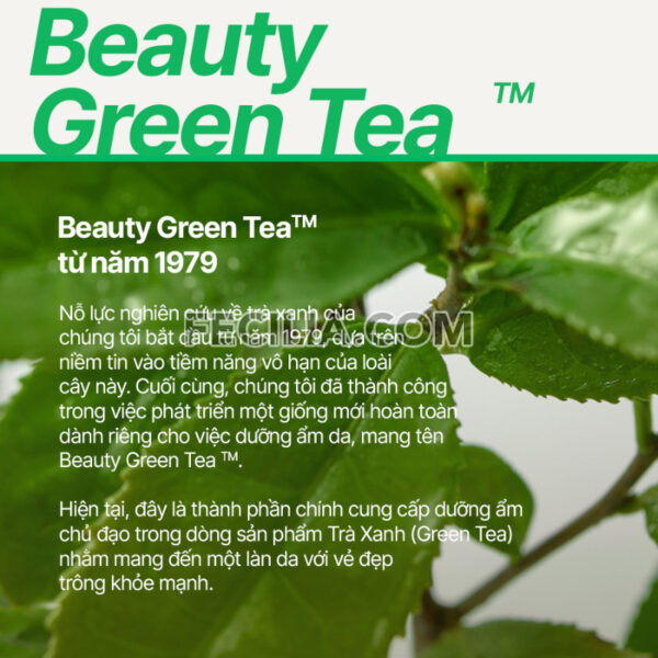 Nước Tẩy Trang Innisfree Green Tea Amino Cleansing Water 320ml |NTT065