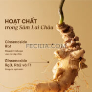 Nước Tẩy Trang ngăn ngừa lão hóa cỏ mềm 150ml |NTT099