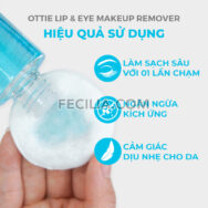 Nước tẩy trang Ottie Lip＆Eye Makeup Remover 100ml |NTT058