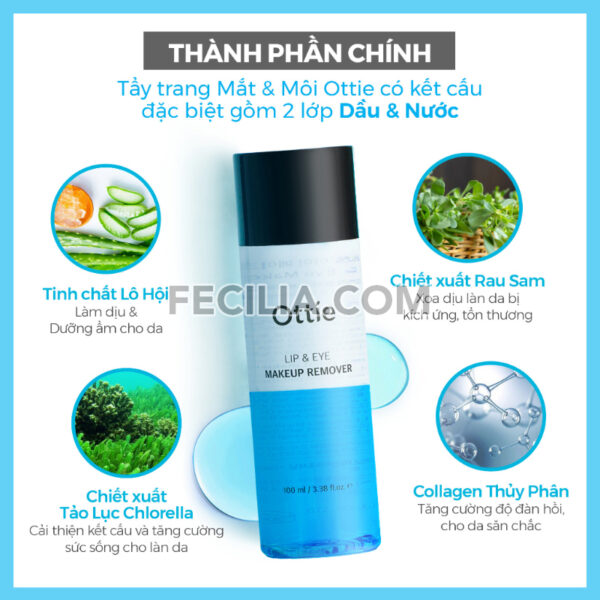 Nước tẩy trang Ottie Lip＆Eye Makeup Remover 100ml |NTT058