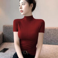 Áo Thun Ngắn Tay Cổ Cao Dáng Ôm Thời Trang Hàn Quốc | ATNU087